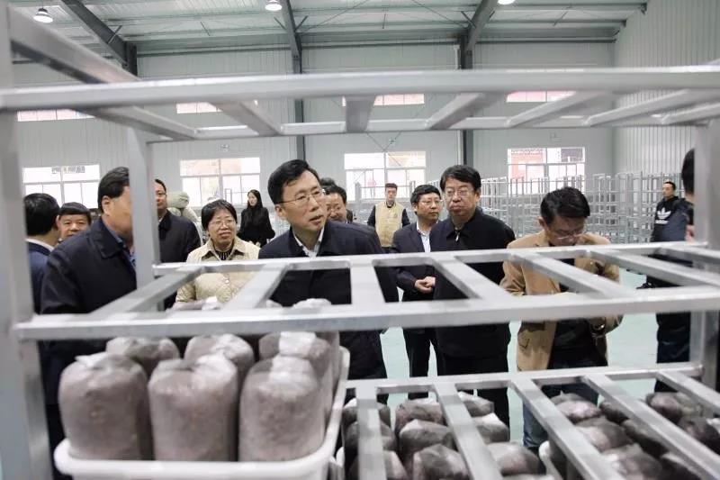 魏增軍副省長一行蒞臨柞水中博農業扶貧項目視察工作